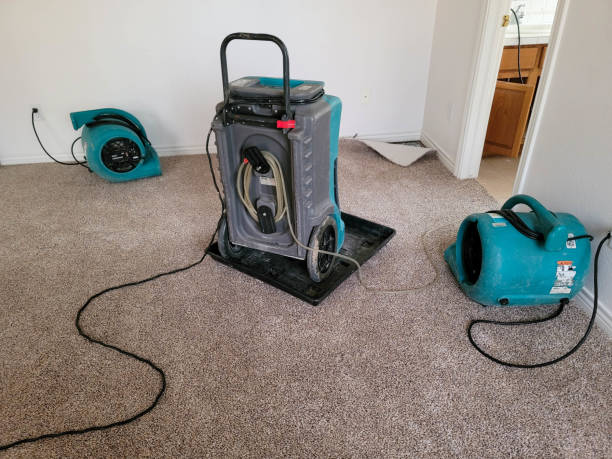 Best Basement water damage restoration  in Emigsville, PA