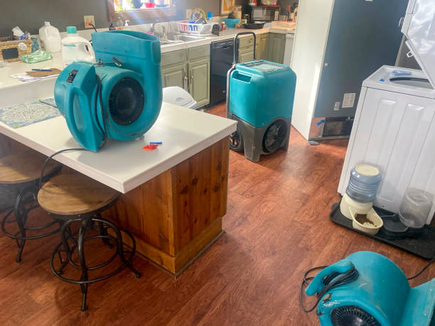 Best Sewage cleanup and water damage restoration  in Emigsville, PA