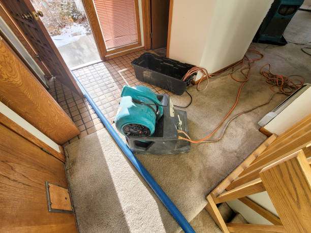 Best Water damage restoration company  in Emigsville, PA