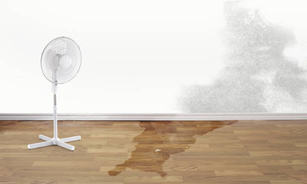 Best Commercial water damage restoration  in Emigsville, PA