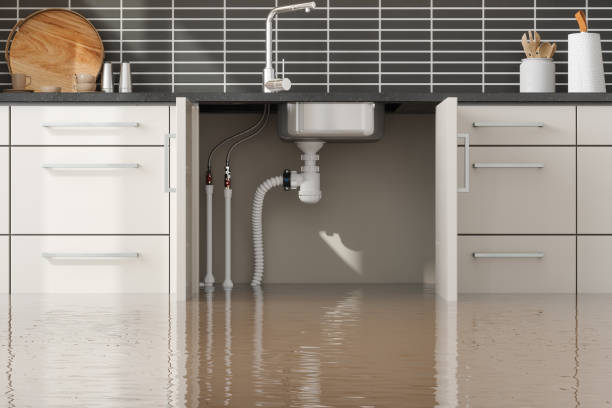Best Flood restoration services  in Emigsville, PA